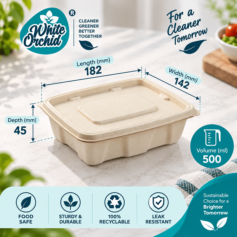 Bagasse Rectangular Container 500 ml manufacturer and exporter in Ahmedabad India - White Orchid close up